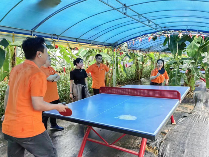 閑暇時光 和諧歡愉